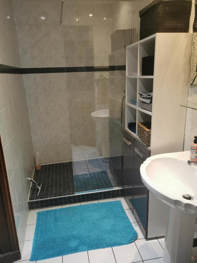 Vaste Appartement Centre Historique De ドール エクステリア 写真